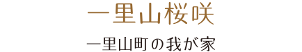 一里山桜咲。一里山町の我が家。