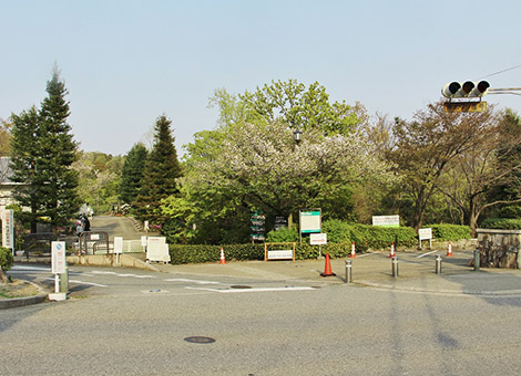 北山緑化植物園【約834m 徒歩約10分】