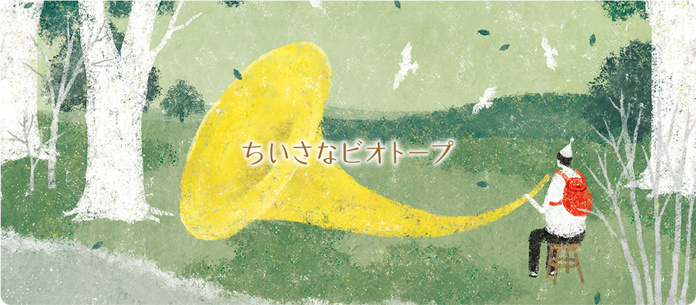 ちいさなビオトープ