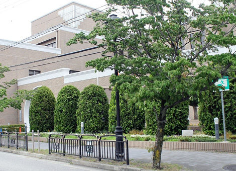 宝塚市立西図書館【約321ｍ 徒歩約4分】