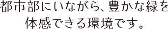 都市部にいながら、豊かな緑を体感できる環境です。