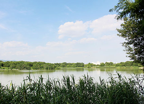 昆陽池公園【約1240m 車約3分】