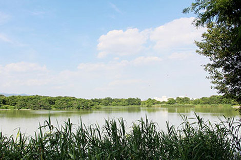 昆陽池公園【約2700ｍ 徒歩約33分】