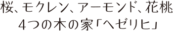 桜、花桃、ア－モンド、モクレン 4つの木の家「ヘゼリヒ」