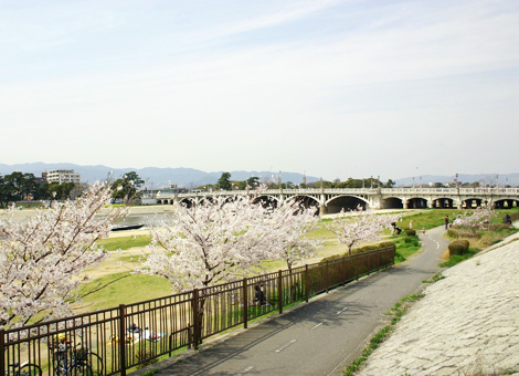 武庫川河川敷緑地【約1030m 徒歩約13分】